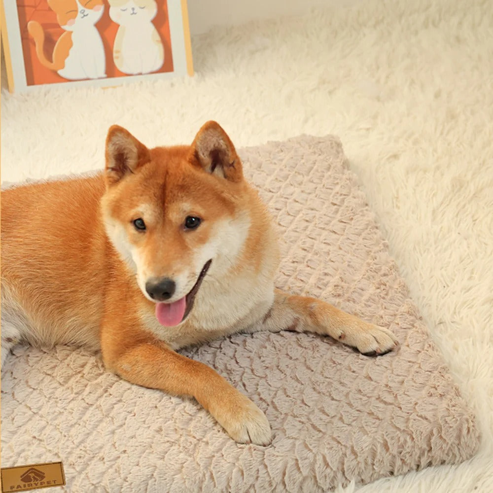 PawMotion Orthopedic Dog Bed