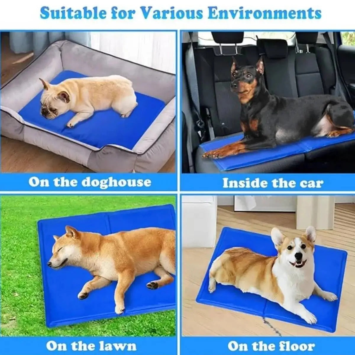 PawMotion Dog Cooling Mat