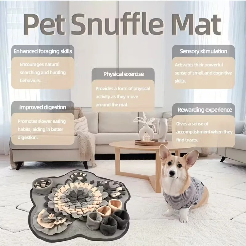 PawMotion Dog Snuffle Mat