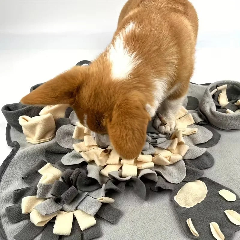 PawMotion Dog Snuffle Mat