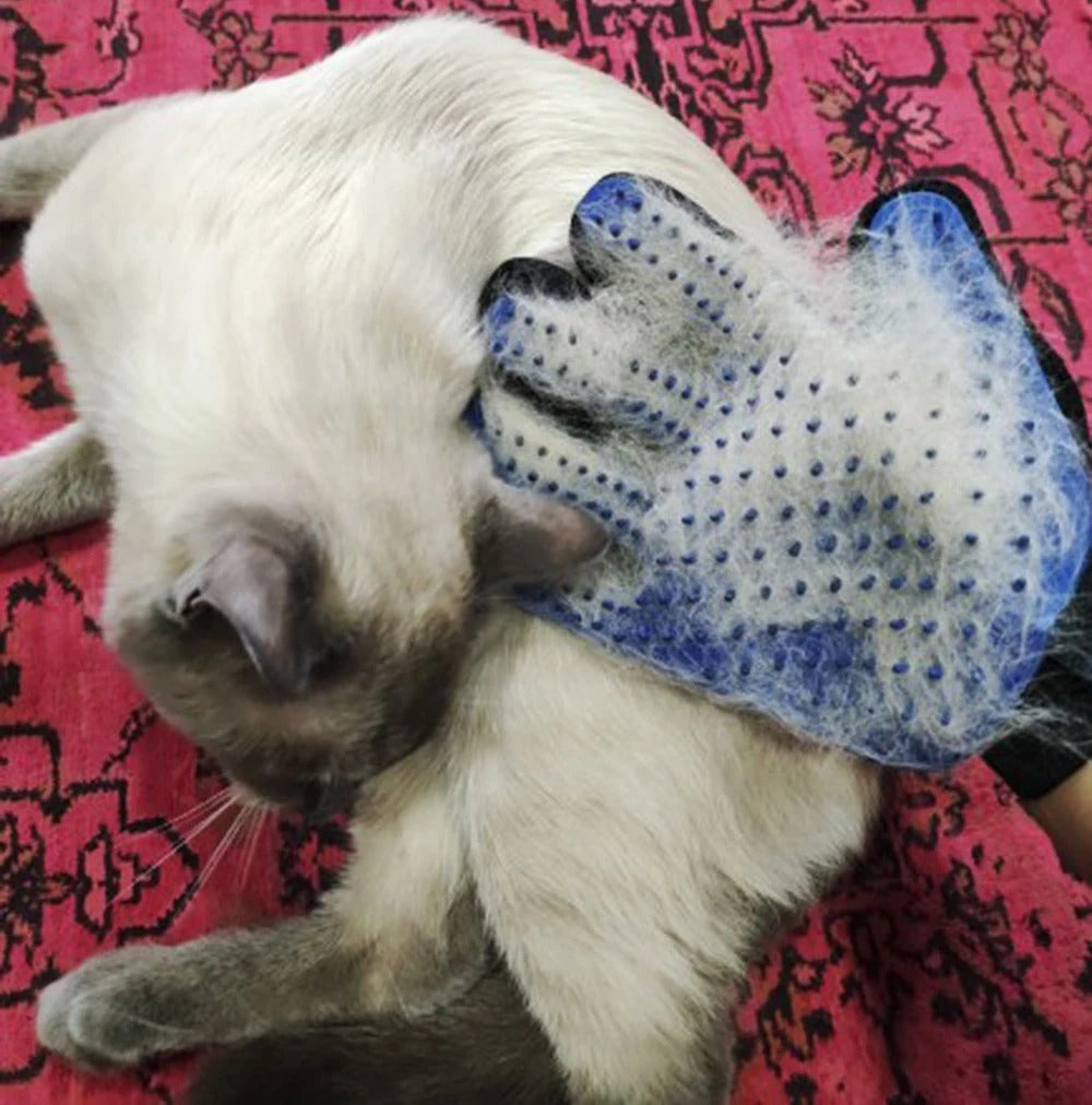 PawMotion Pet Grooming Glove