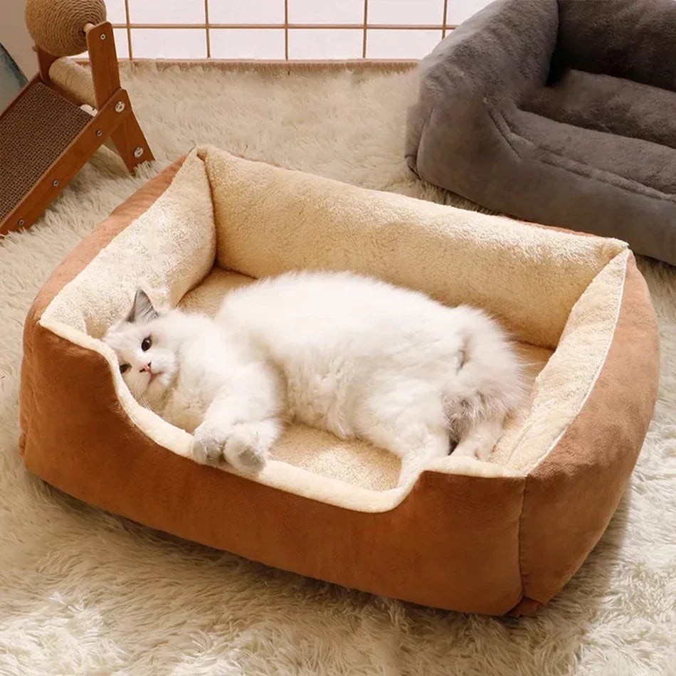PawMotion Cozy Pet Bed