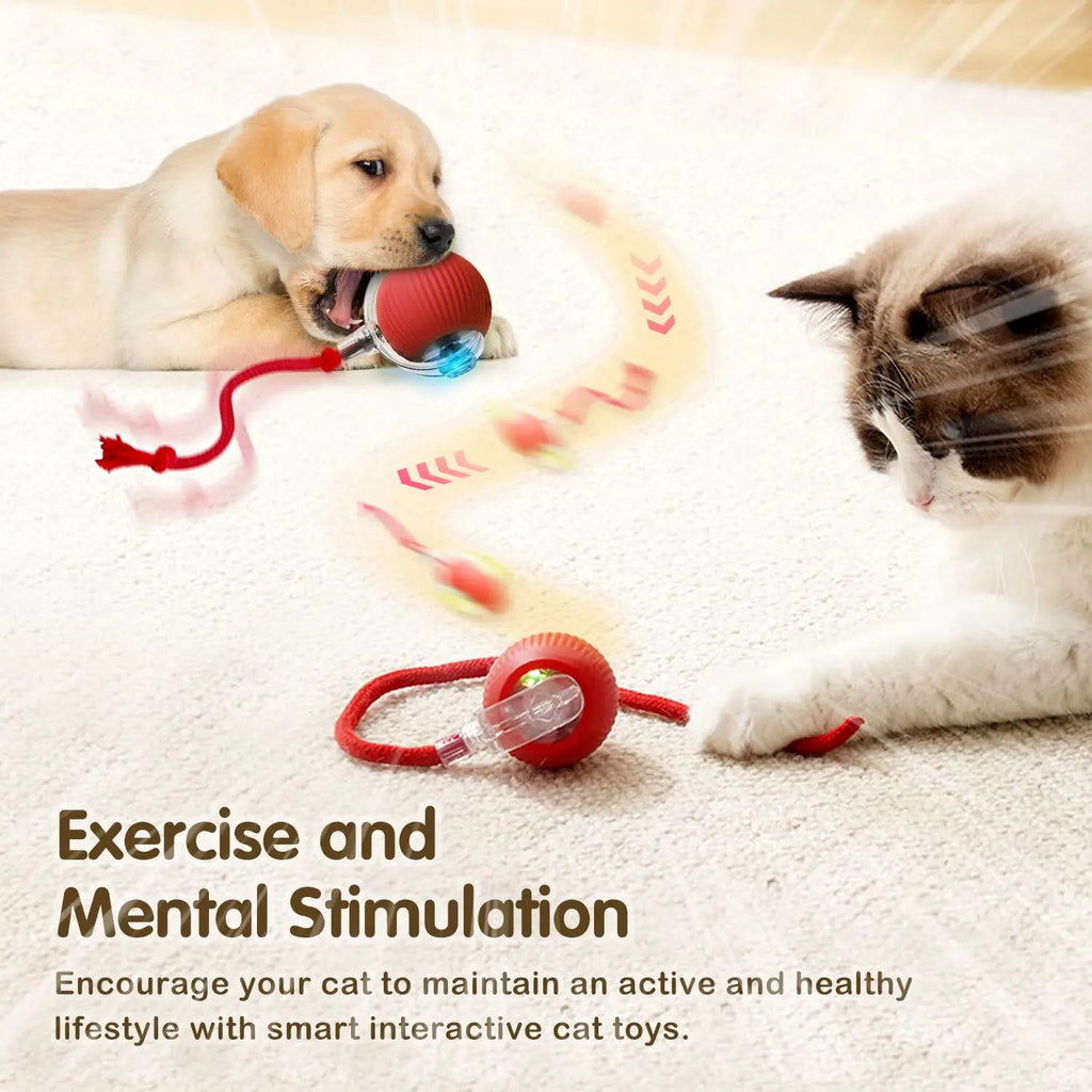 PawMotion Smart Pet Ball