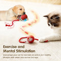 PawMotion Smart Pet Ball