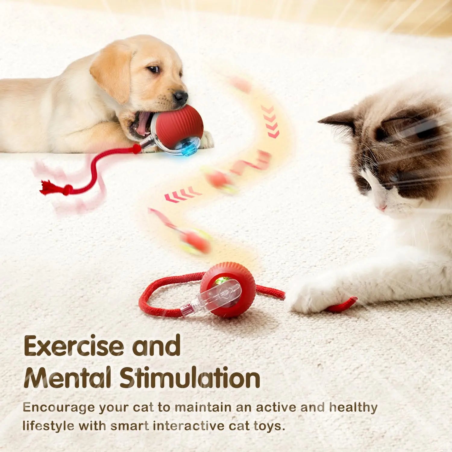 PawMotion Smart Pet Ball