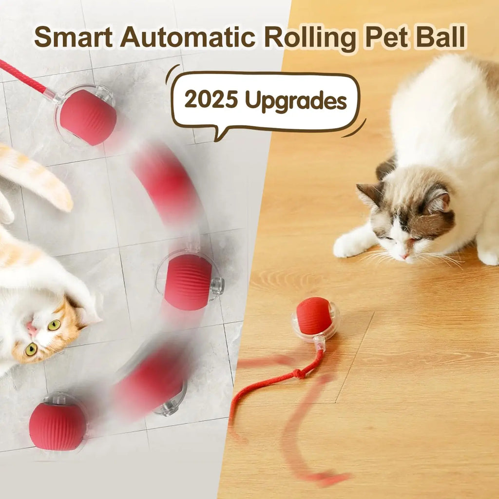 PawMotion Smart Pet Ball