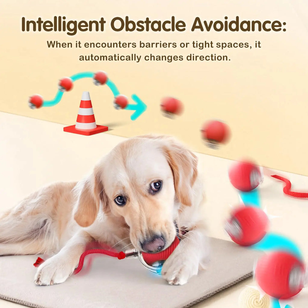 PawMotion Smart Pet Ball