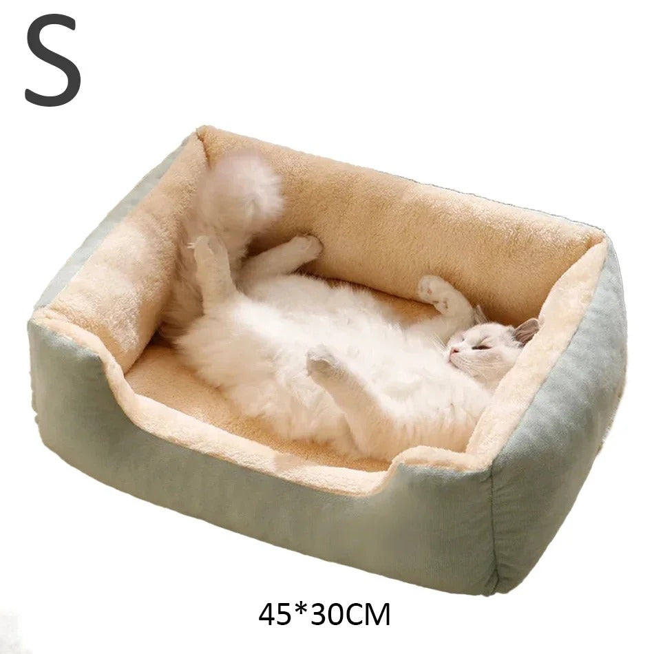 PawMotion Cozy Pet Bed